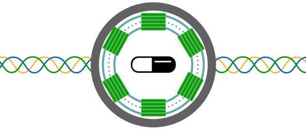 Brusheless Motor Chris Tacklind and Cameron Tacklind on building a brushless motor controller