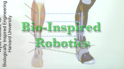 Example of Bio-Inspired Robotics: Active Soft Orthotic Device for Ankle-Foot Pathologies Yong-Lae Park Wyss Institute for Biologically Inspired Engineering Harvard University, 2012