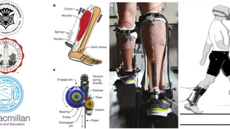 Passive ankle exoskeleton that successfully reduced the metabolic cost of walking on even terrain for healthy individuals, University of North Carolina At Chapel Hill and North Carolina State University, 2015