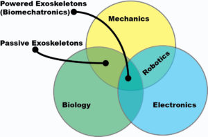 The exoskeleton industry in 2016 stands at the intersection of biomechatronics and biomechanics. 