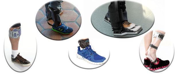 What is an exoskeleton What is an exoskeleton?