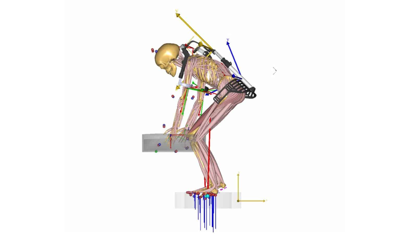 biomechanical investigation of a passive upper extremity exoskeleton for manual material handling