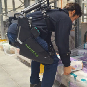 Agadexo Lowback From Website 2026 product