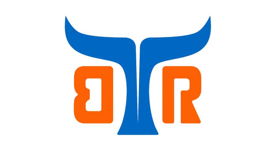 Buffalo Robot Buffalo Robot