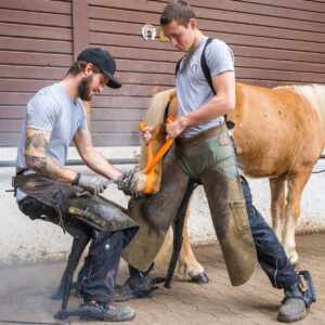 noonee chariles chair 2 example use case - farriers